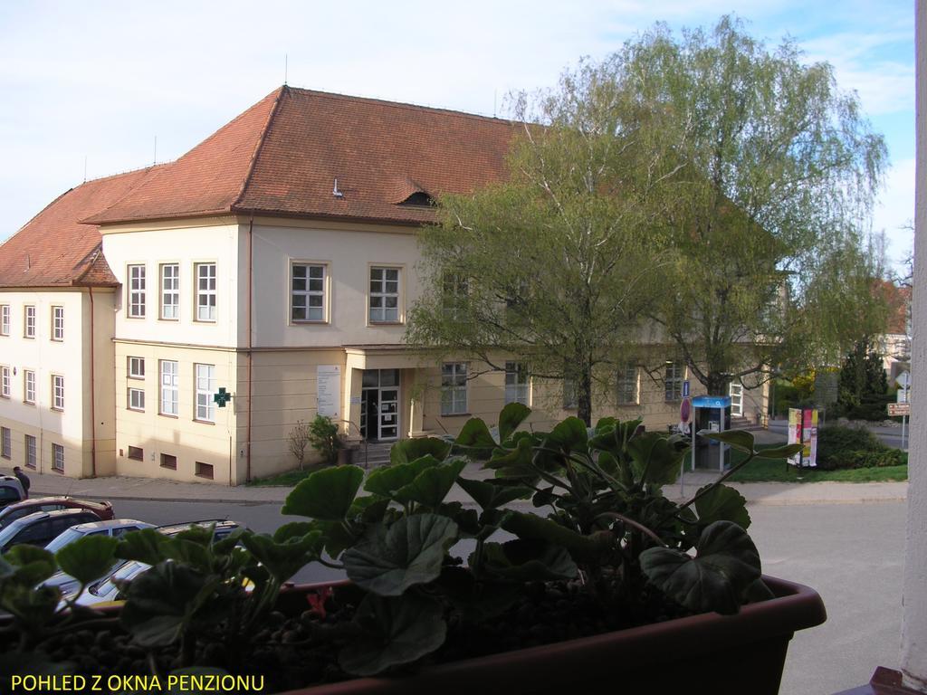 Penzion U Zabaka Mikulov Extérieur photo