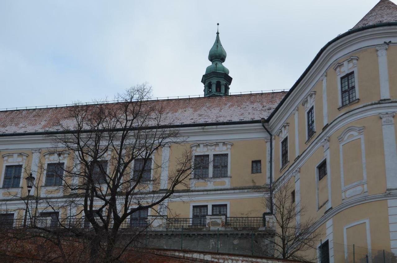 Penzion U Zabaka Mikulov Extérieur photo