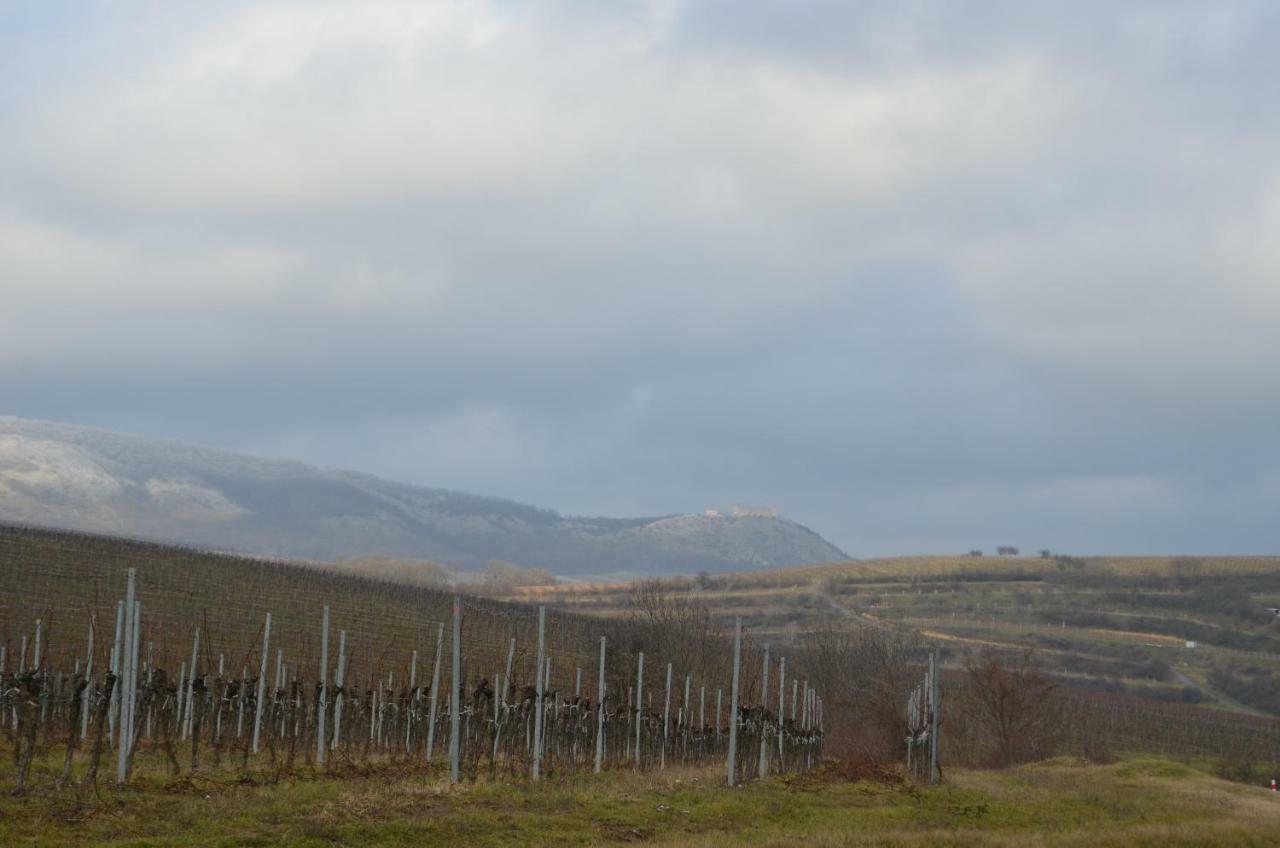 Penzion U Zabaka Mikulov Extérieur photo
